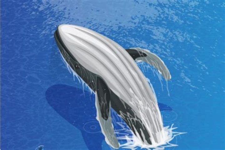 Do whales jump for fun