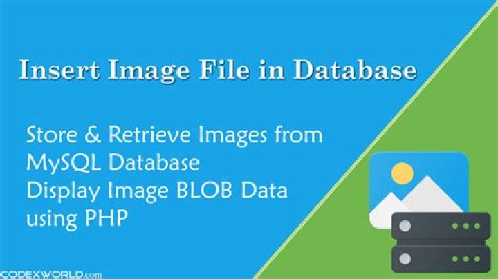 How do I remove a user from a mysql database
