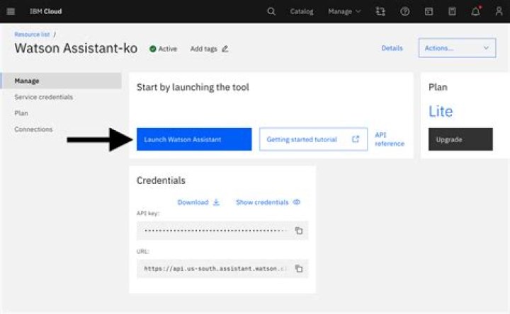 How do I use IBM Watson assistant