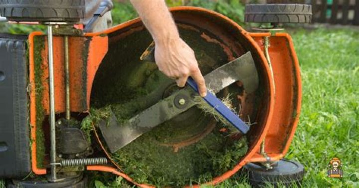 How do you sharpen a lawn mower blade without removing it
