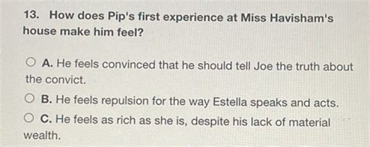 How does PIP feel about himself after his first meeting at Miss Havishams