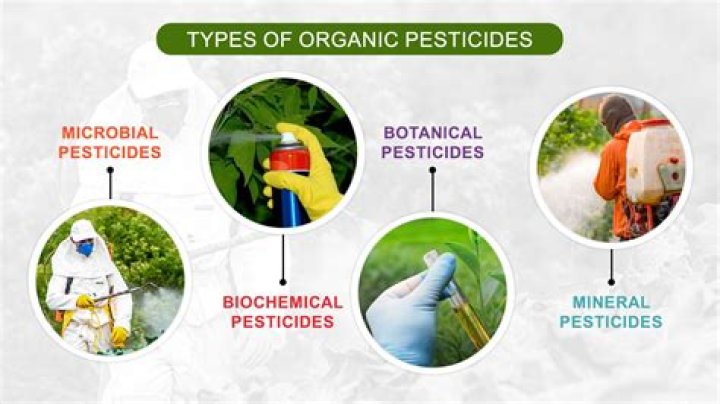 What does Pesticide do to plants
