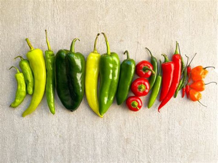 What is a frying pepper