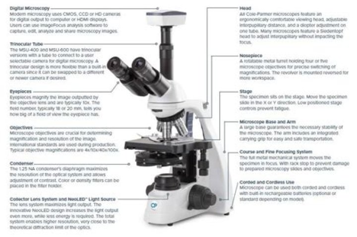What is the cost of a compound light microscope